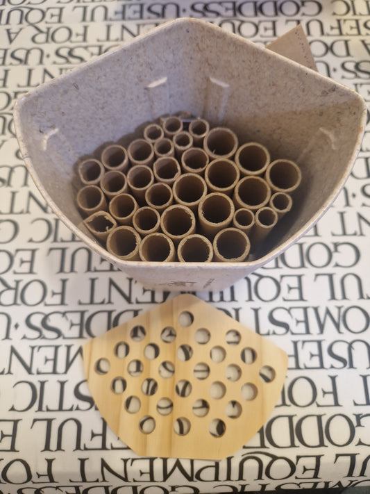 Earthy Sustainable Bee House