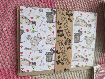 Hannah Marchant Seed Cards