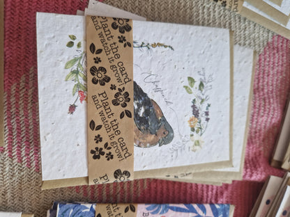 Hannah Marchant Seed Cards